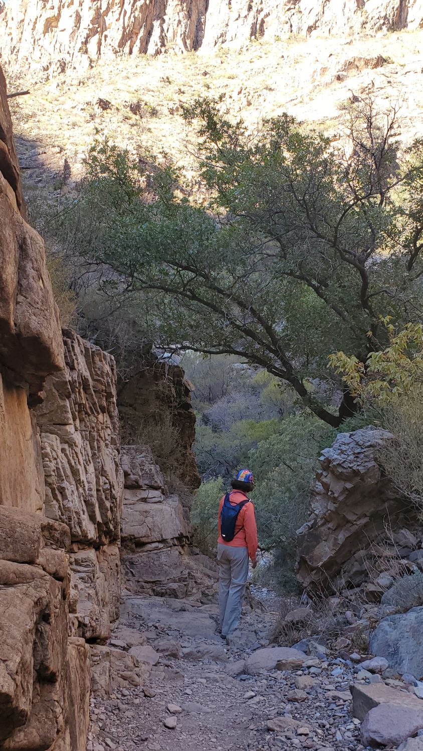 Window Hike 